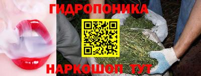 ПСИЛОЦИБИНОВЫЕ ГРИБЫ Краснознаменск